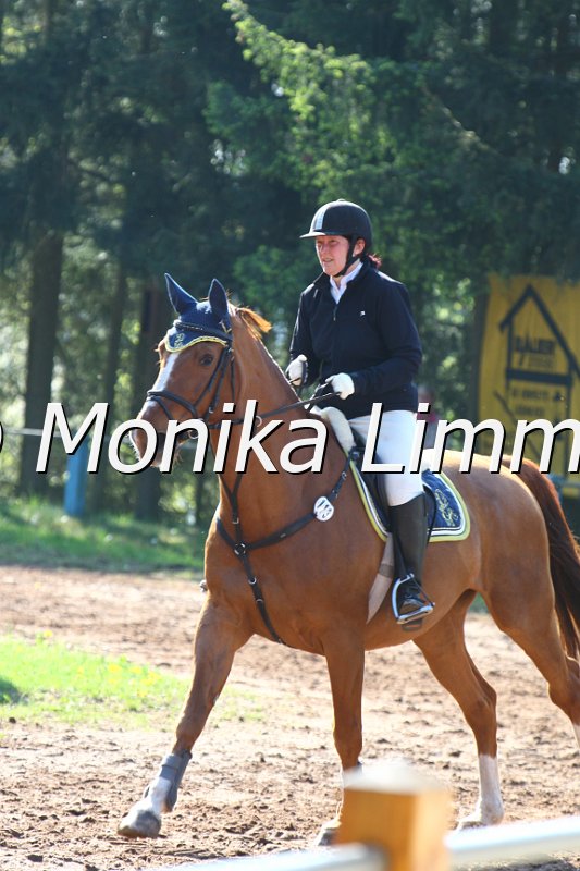 004M1486_Frankie Boy_Spring A.JPG